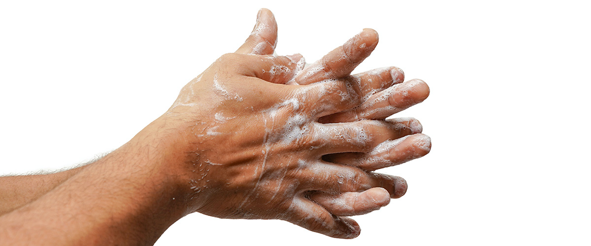 hands lathered in soap